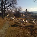 Hotel Braun Voitsberg