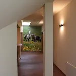Hotel Braun *
