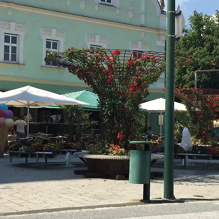 Braun וויטסברג