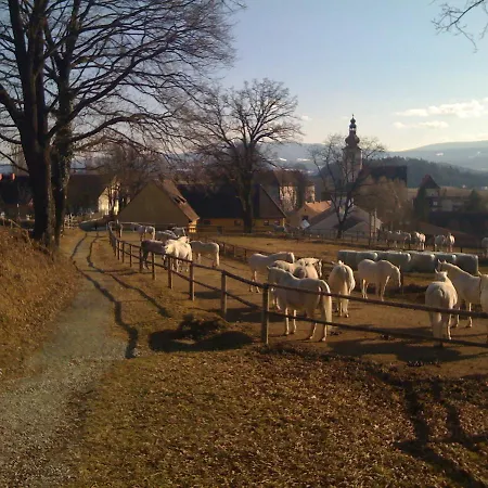 מלון Braun וויטסברג