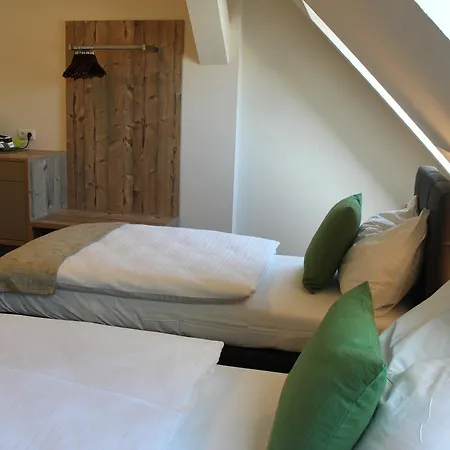 מלון Braun וויטסברג