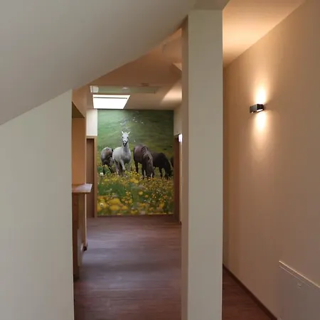 Hotel Braun *