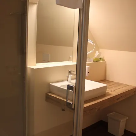 Hotel Braun *