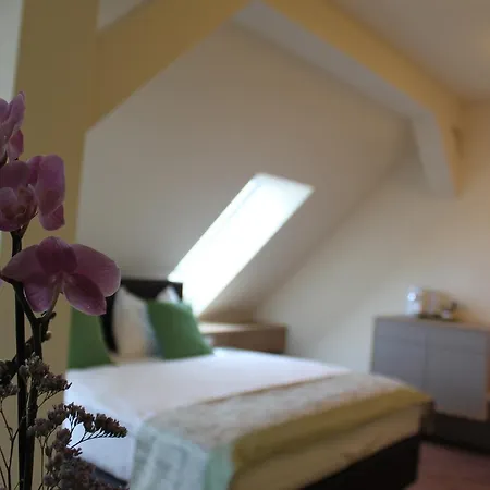 Braun Hotel