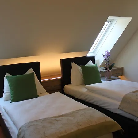 מלון Braun וויטסברג