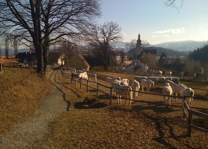 Hotel Braun Voitsberg